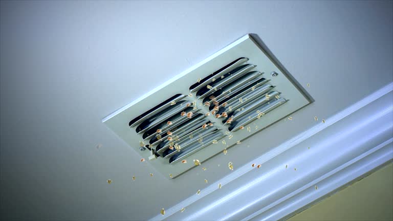 Best Home Air Vent Cleaning  in Dupont, PA